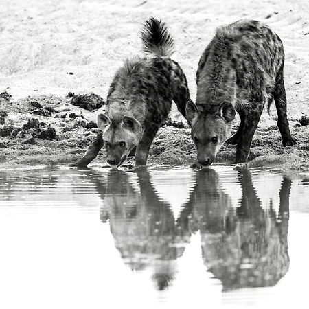 Jock Safari Lodge Skukuza Esterno foto