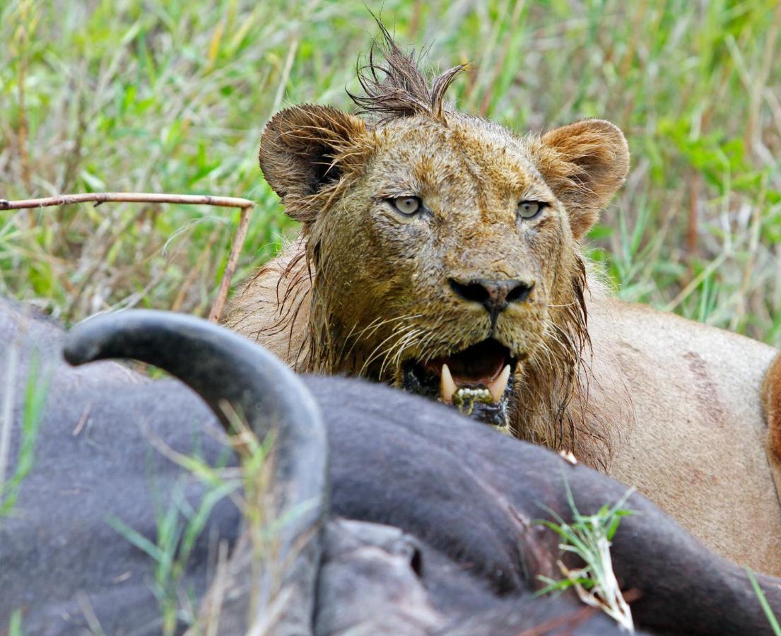 Jock Safari Lodge Skukuza Esterno foto