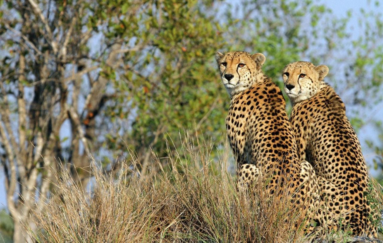 Jock Safari Lodge Skukuza Esterno foto