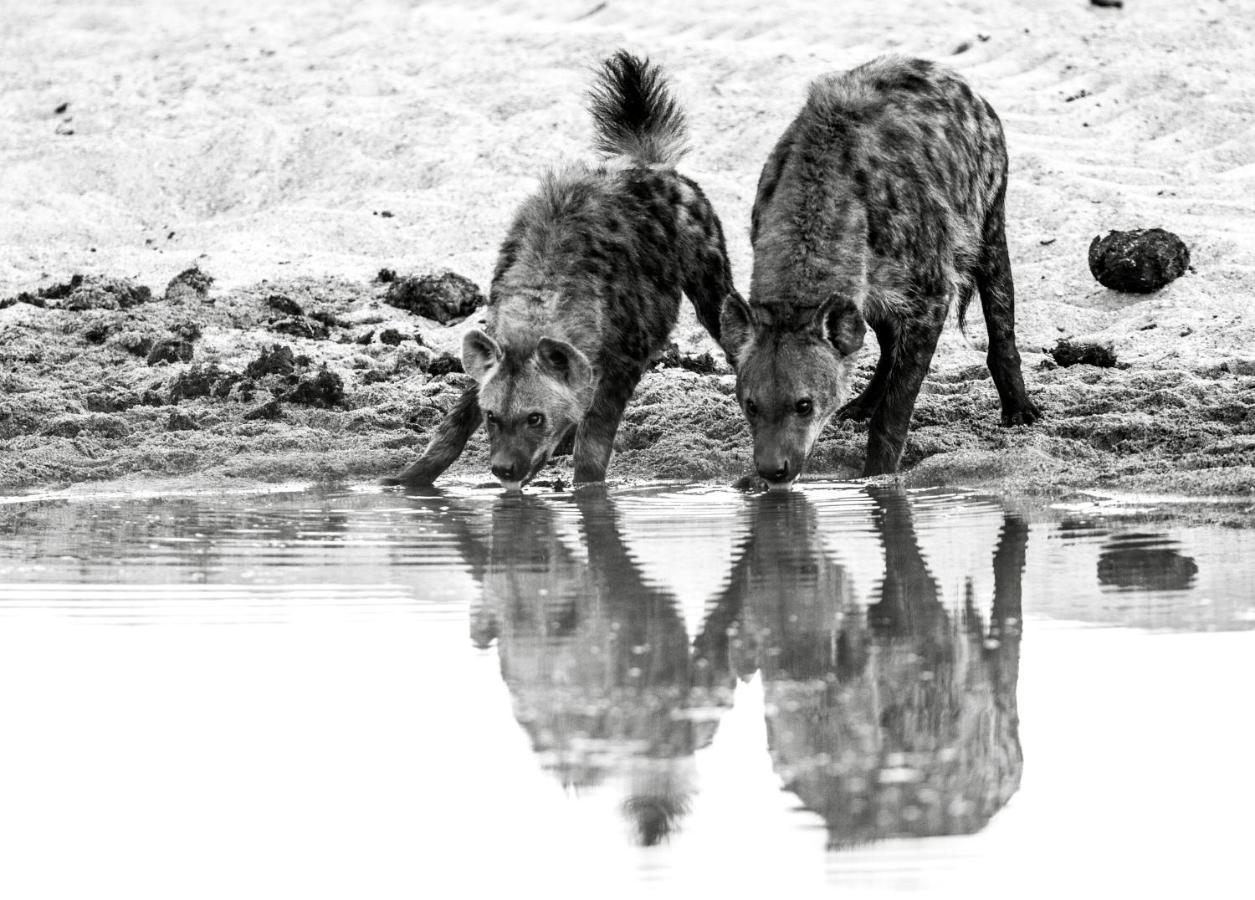 Jock Safari Lodge Skukuza Esterno foto