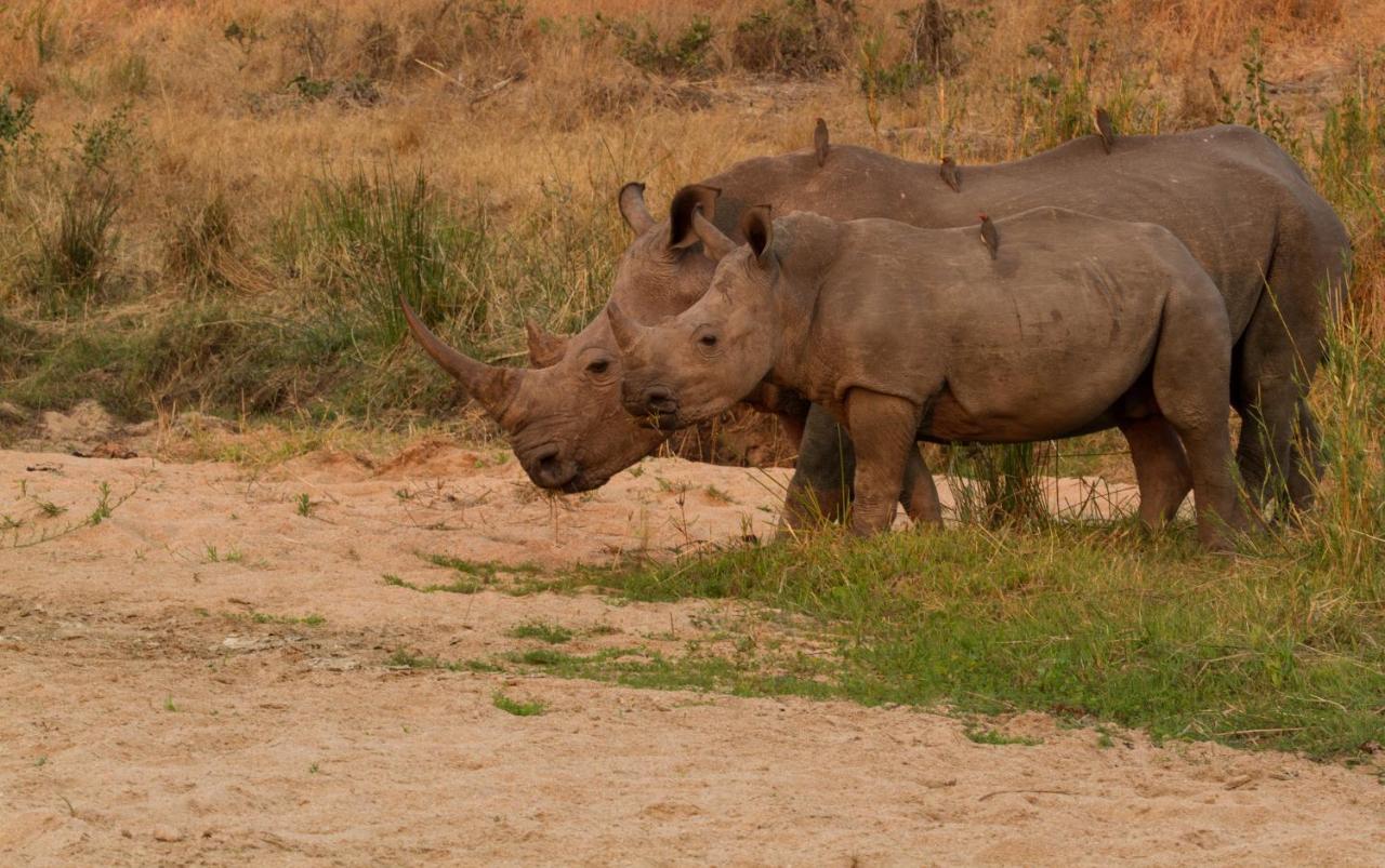 Jock Safari Lodge Skukuza Esterno foto